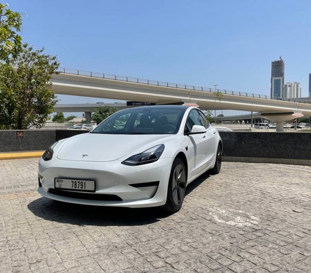 Tesla Model 3 Standard Plus 2022 — аренда в Дубае — фото 2