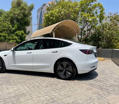 Tesla Model 3 Standard Plus 2022 — аренда в Дубае — фото 3