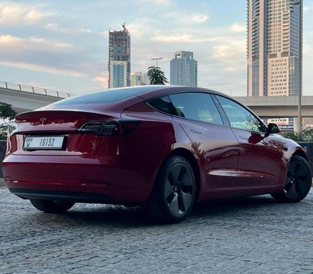 Tesla Model 3 Standard Plus 2023 — аренда в Абу-Даби — фото 3