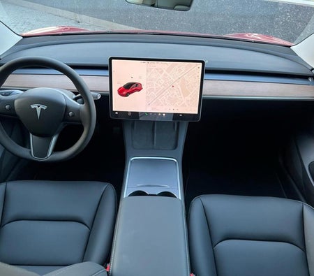 Tesla Model 3 Standard Plus 2023 — аренда в Абу-Даби — фото 7