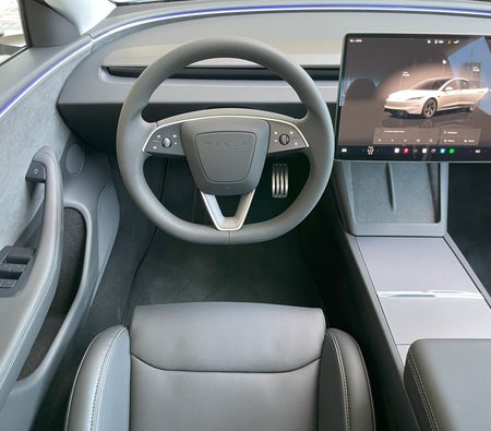 Tesla Model 3 Performance 2024 in Dubai — photo 10