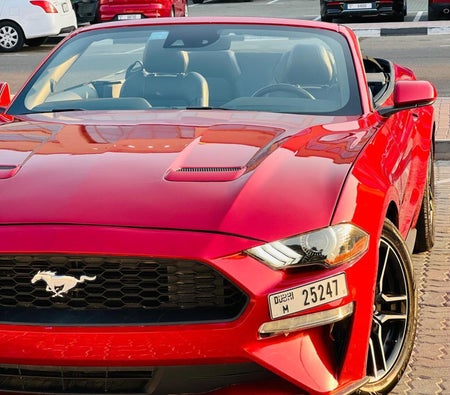 Ford Mustang Ecoboost Convertible 2023 — аренда в Дубае — фото 2