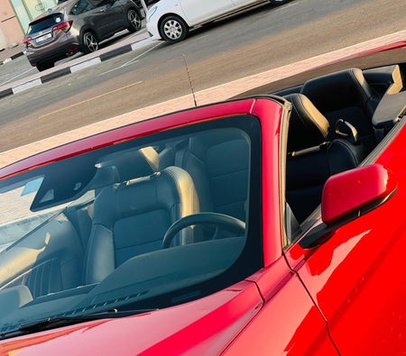 Ford Mustang Ecoboost Convertible 2023 — аренда в Дубае — фото 3