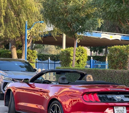 Ford Mustang Ecoboost Convertible 2023 — аренда в Дубае — фото 4
