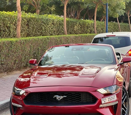 Ford Mustang Ecoboost Convertible 2023 — аренда в Дубае — фото 6