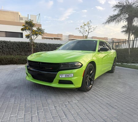 Dodge Charger V6 2023 for rent