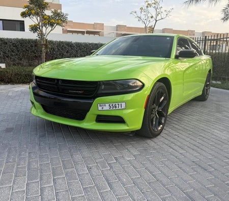 Dodge Charger V6 2023 — аренда в Дубае — фото 8