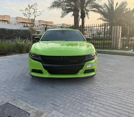 Dodge Charger V6 2023 — аренда в Дубае — фото 9