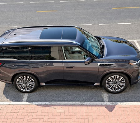 Infiniti QX80 2025 in Dubai — photo 8
