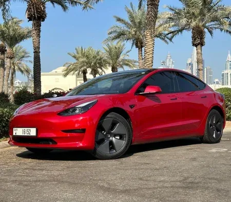 Tesla Model 3 Standard Plus 2023 напрокат