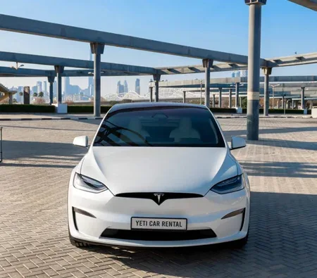 Tesla Model X Plaid 2023 — аренда в Абу-Даби — фото 4