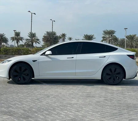 Tesla Model 3 Standard Plus 2024 — аренда в Абу-Даби — фото 2
