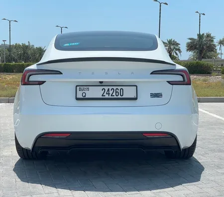 Tesla Model 3 Performance 2024 in Abu Dhabi — photo 8