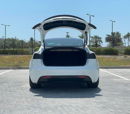 Tesla Model 3 Performance 2024 in Abu Dhabi — photo 9