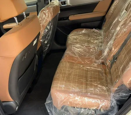 Hyundai Santa Fe 2025 in Dubai — photo 8