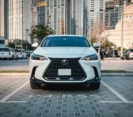 Lexus NX 300 2025 in Ajman — photo 6