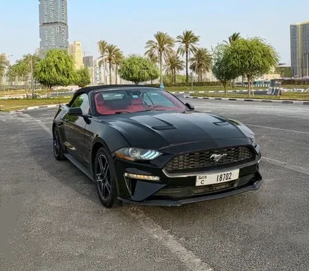 Ford Mustang Convertible 2021 напрокат