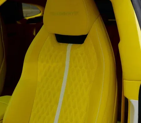 Lamborghini Urus Mansory 2021 in Dubai — photo 7