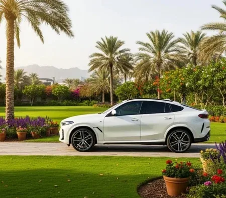 BMW X6 M50i 2026 in Dubai — photo 3