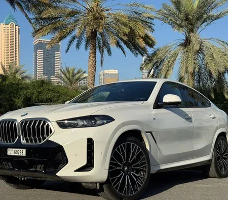 BMW X6 xDrive40i 2024 in Dubai — photo 6